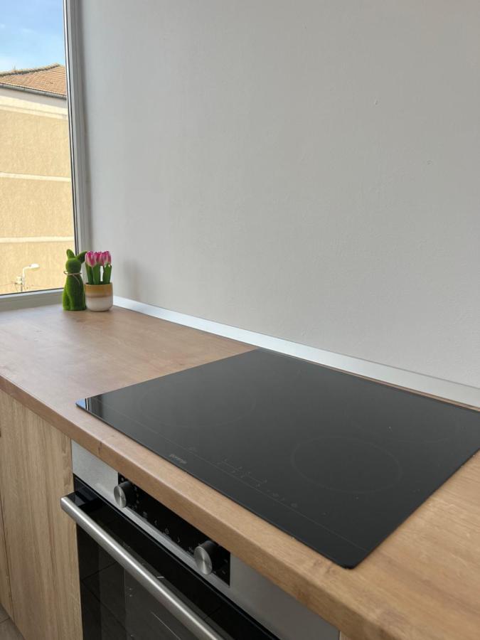 Apartament Tudor 拉迪亚 外观 照片