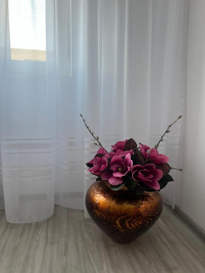 Apartament Tudor 拉迪亚 外观 照片
